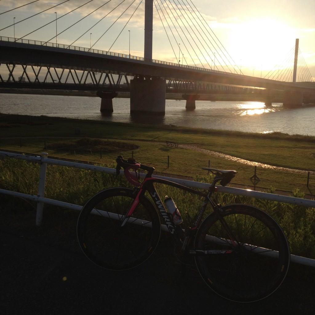 早朝の荒川サイクリングロード